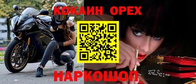 стафф Донской