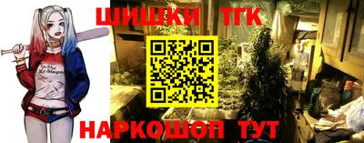 стафф Донской
